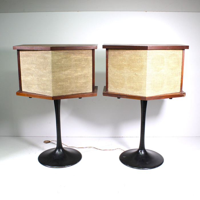 Bose 901 Vintage Direct Reflecting Speaker System Pair with Stands-Speakers-SpenCertified-vintage-refurbished-electronics