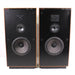 Boston Acoustics A150 Vintage Foorstanding Speaker Pair-Speakers-SpenCertified-vintage-refurbished-electronics