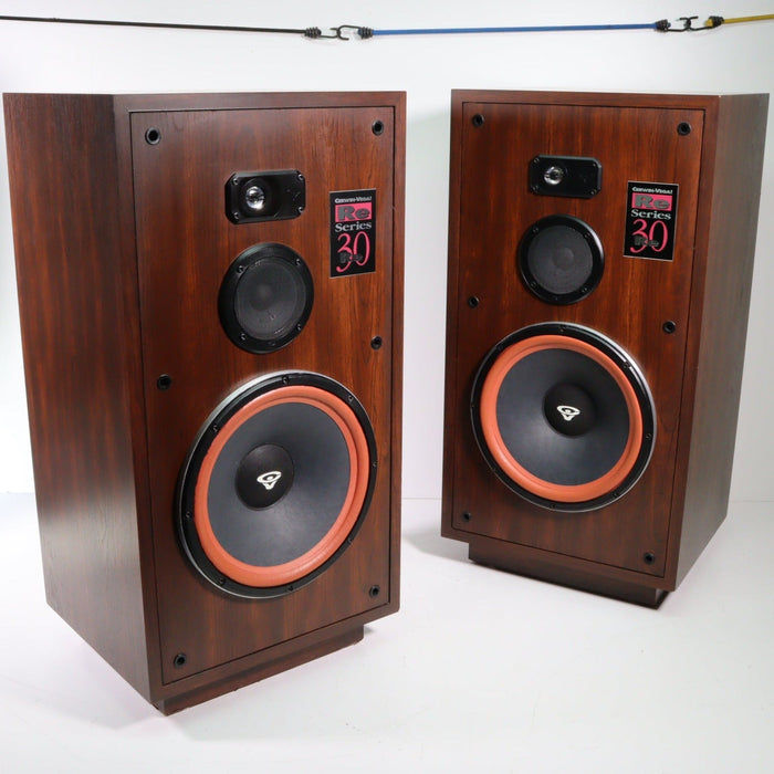 Cerwin-Vega! RE-30 Re Series Floorstanding Speaker Pair (NO TWEETER SOUND FOR ONE SPEAKER)