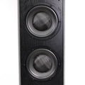 Earthquake Saturn-3611 Floorstanding Tower Speaker Pair Magnetically Shielded