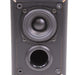 Fostex SS-1.1 Full-Range Shielded Satellite Speakers Pair-Speakers-SpenCertified-vintage-refurbished-electronics