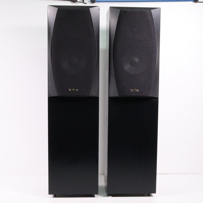 Infinity Entra Two Floorstanding Tower Speaker Pair-Speakers-SpenCertified-vintage-refurbished-electronics