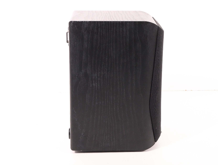 Infinity Primus HCS SAT Speaker