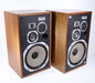 Pioneer HPM-100 4-Way Loudspeaker Speaker Pair (NO TWEETER SOUND)-Speakers-SpenCertified-vintage-refurbished-electronics