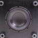 Pioneer SW-8 8" Powered Subwoofer 100W-Speakers-SpenCertified-vintage-refurbished-electronics
