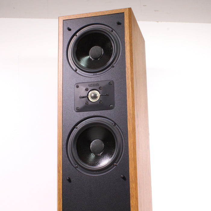 Audio Rta 8t Vintage Polk Audio Floor Speakers Polk Audio Monitor