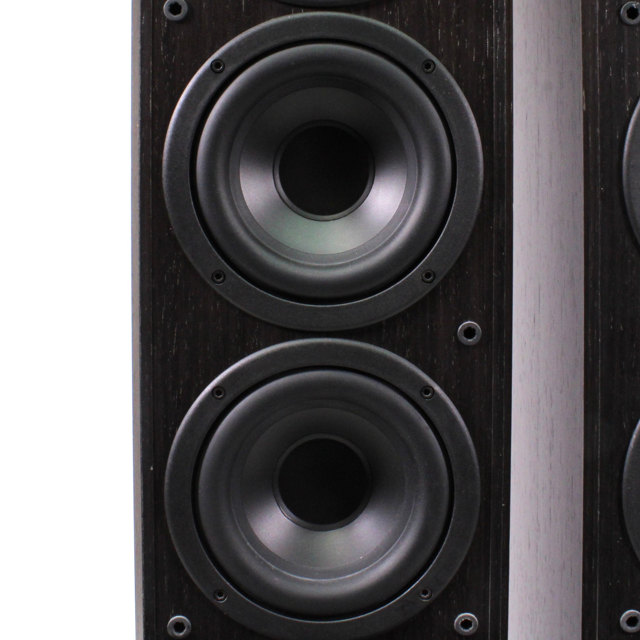 Polk Audio RTi150 Floorstanding Tower Speaker Pair — SpenCertified