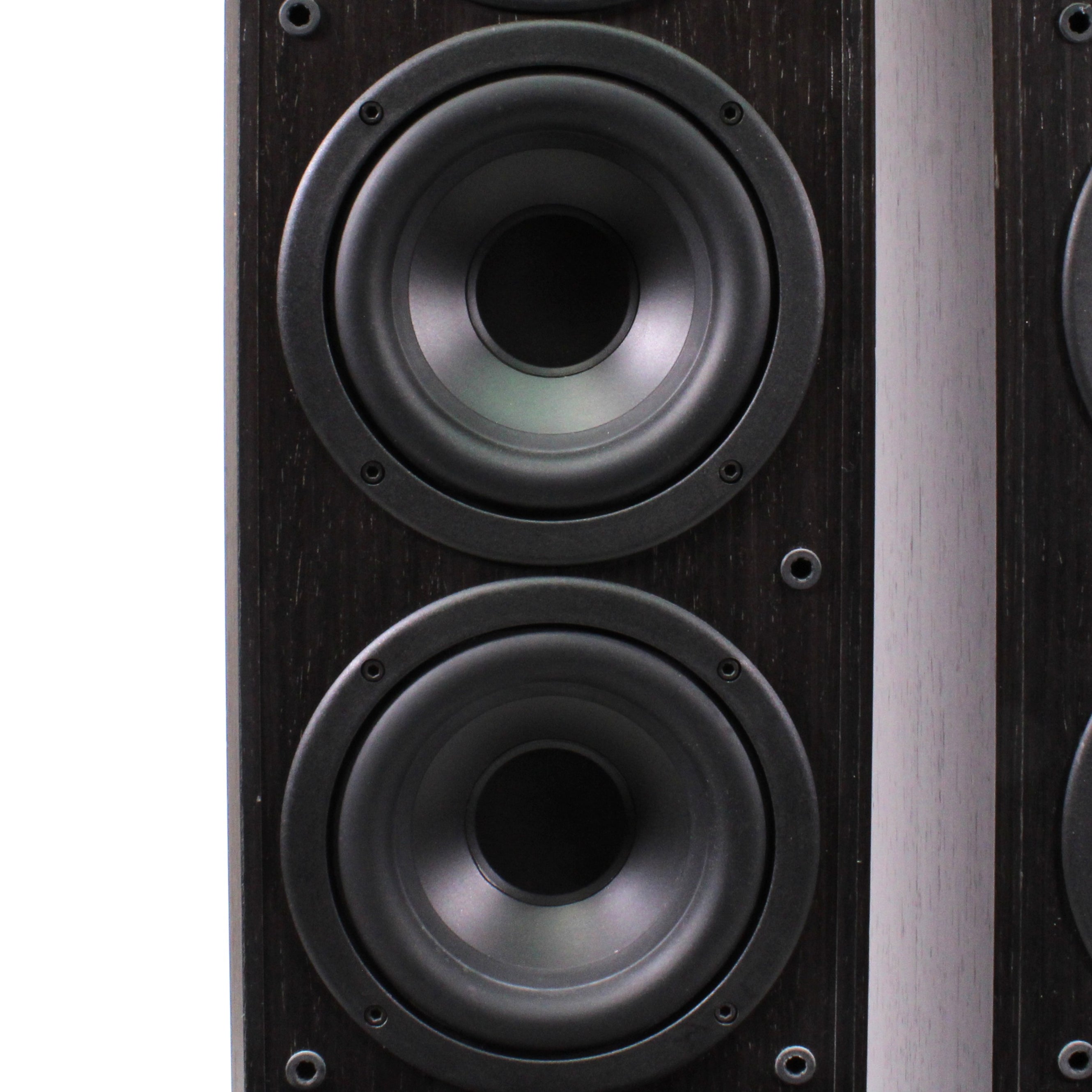 Polk Audio RTi150 Floorstanding Tower Speaker Pair — SpenCertified