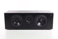 PolkAudio T30 Dynamic Balance 2-Way Center Channel Speaker