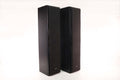 Sony SS-F7000P Stereo Speaker Towers Tall Black