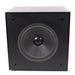 Sound Dynamics THS-2000 10" Powered Subwoofer 100 Watts-Speakers-SpenCertified-vintage-refurbished-electronics