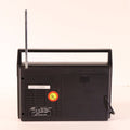 Tozai PL-3800D Portable FM/AM Radio
