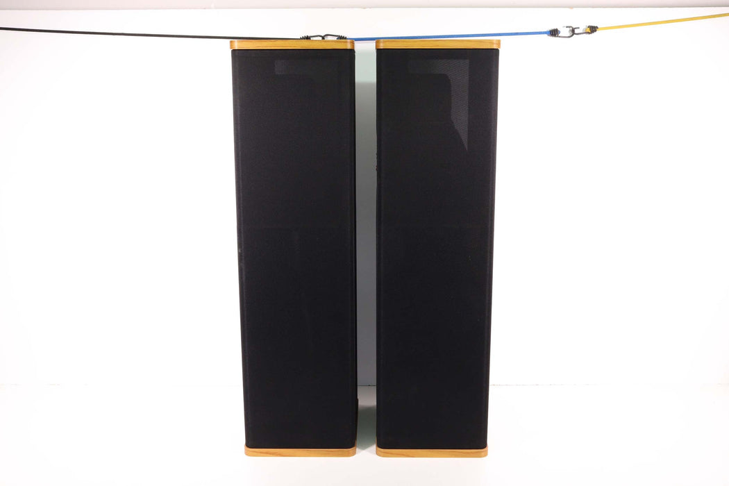 VANDERSTEEN Model 1 Speaker Towers (With Stand)-Speakers-SpenCertified-vintage-refurbished-electronics