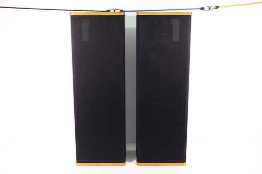VANDERSTEEN Model 1 Speaker Towers (With Stand)-Speakers-SpenCertified-vintage-refurbished-electronics