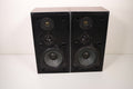 B&O Bang and Olufsen BEOVOX S45-2 Vintage Speaker Pair Set 4-8 Ohm 45 - 75 Watt Made in Denmark