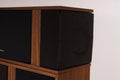 Bose 301 Direct Reflecting Small Bookshelf Speaker Pair
