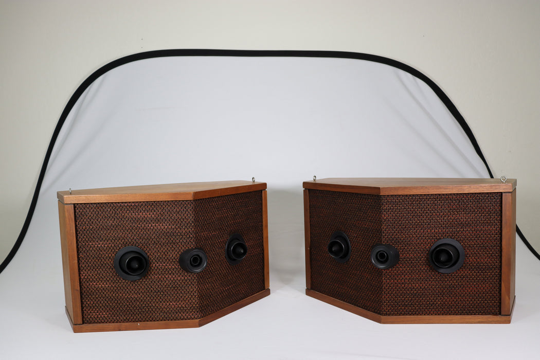 Bose 901 Series IV 4 Vintage Speaker Pair Direct Reflecting Rear Speakers-Electronics-SpenCertified-vintage-refurbished-electronics