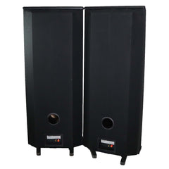 Dcm 2024 tower speakers