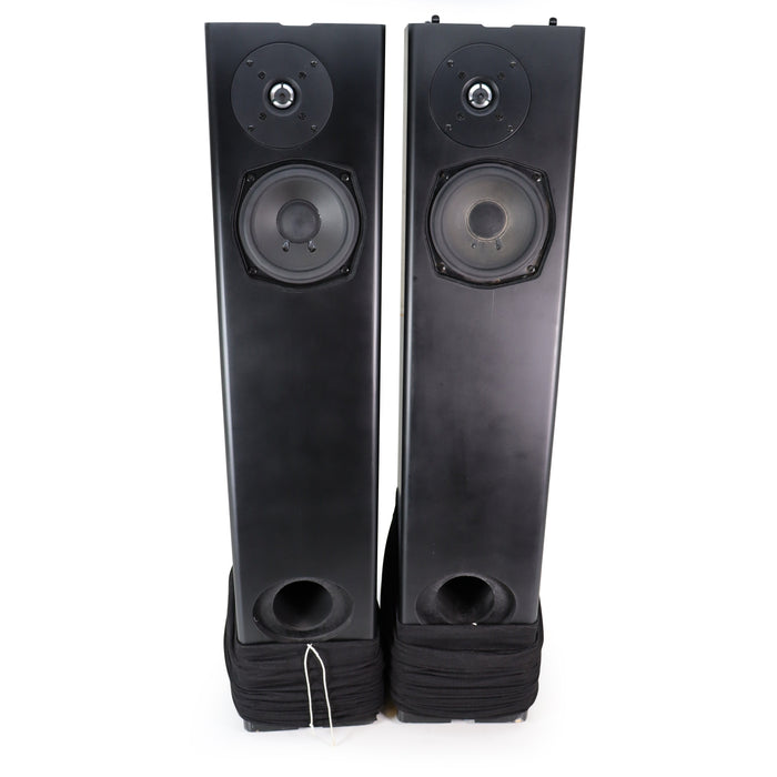 Definitive Technology BP-6B Floor-Standing Loudspeaker-Electronics-SpenCertified-refurbished-vintage-electonics