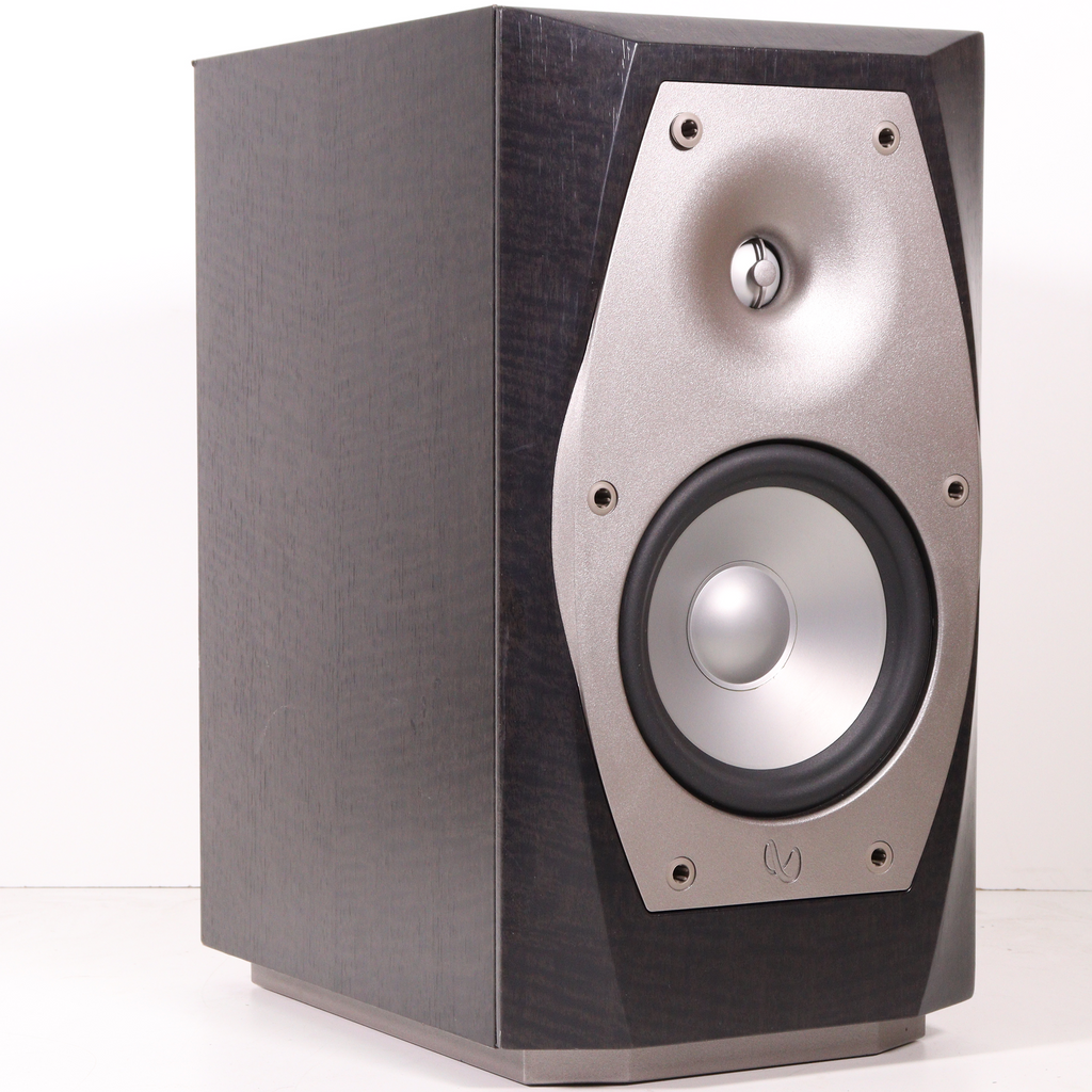 INFINITY Systems IL10 Floor standing Speaker