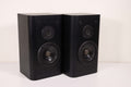 Infinity RS1001 Audiophile Speaker Pair Bookshelf Set 2 Way Small