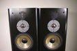 Infinity RS6000 Speaker Pair Ribbon Tweeter Polydome (HEAVY WEAR)-Speakers-SpenCertified-vintage-refurbished-electronics