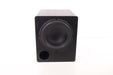 NXG NX-PROSUB125 Subwoofer for Home Stereo Black-Speakers-SpenCertified-vintage-refurbished-electronics