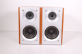 Panasonic SB-PM53 Speakers (Pair)