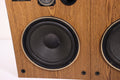 Pioneer CS-G203 Vintage Stereo Speaker Pair