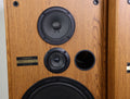 Pioneer CS-G304 3-Way Speaker Pair System Vintage Light Brown
