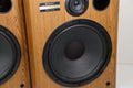 Pioneer CS-G304 3-Way Speaker Pair System Vintage Light Brown