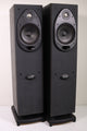Polk Audio RT600 Tower Speaker Pair Lots of Bass