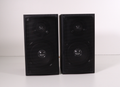 SHARP CP-DK225 Speakers (Pair)