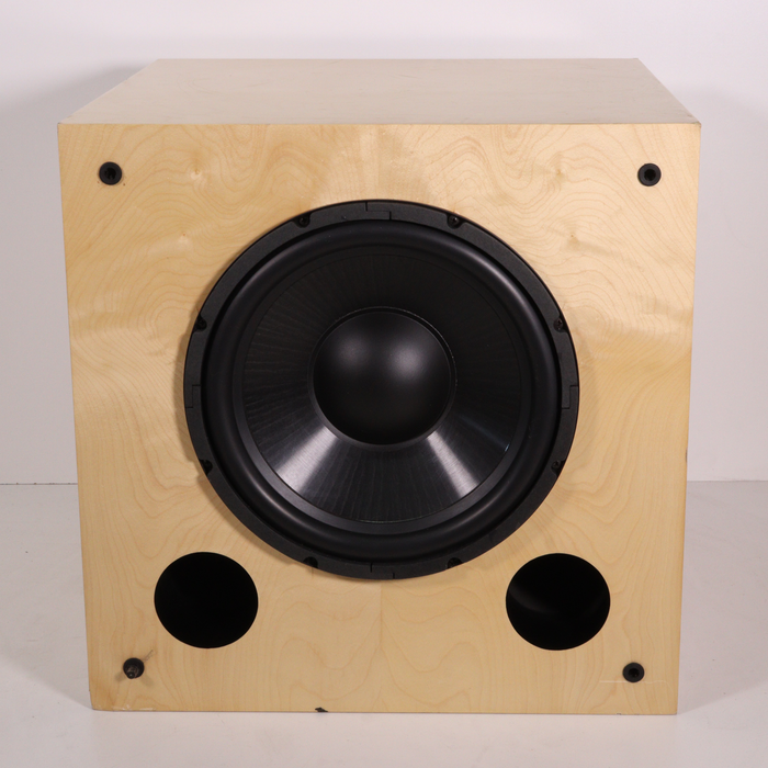 Solus Subwoofer Power Module AP-A100-Speakers-SpenCertified-vintage-refurbished-electronics