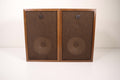 Sony Speaker Pair Vintage Small Light Brown Wood Box
