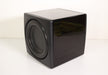 Sunfire by Bob Carver 10 inch Subwoofer Speaker-Speakers-SpenCertified-vintage-refurbished-electronics