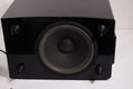 TR Theater Research 10 Inch Subwoofer TR-604 250 Watts Piano Black